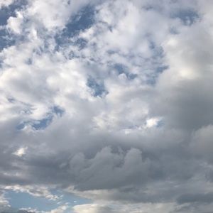 Meet your Posher, Katharine